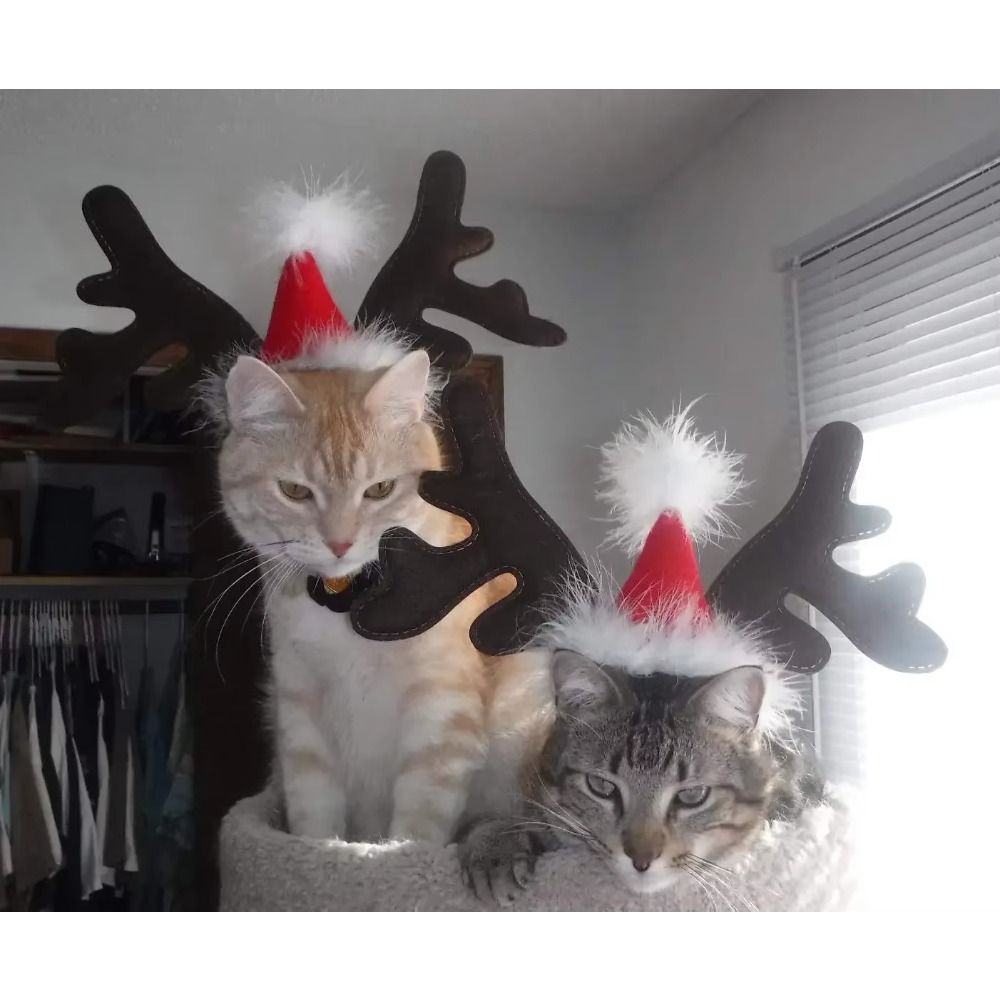 Pet Christmas Reindeer Antler  - Reindeer Antlers Headband 评论和价格